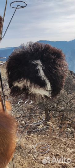 Экслюзивные папахи