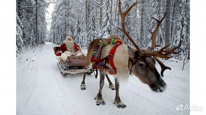 Новогодний экспресс в Великий Устюг