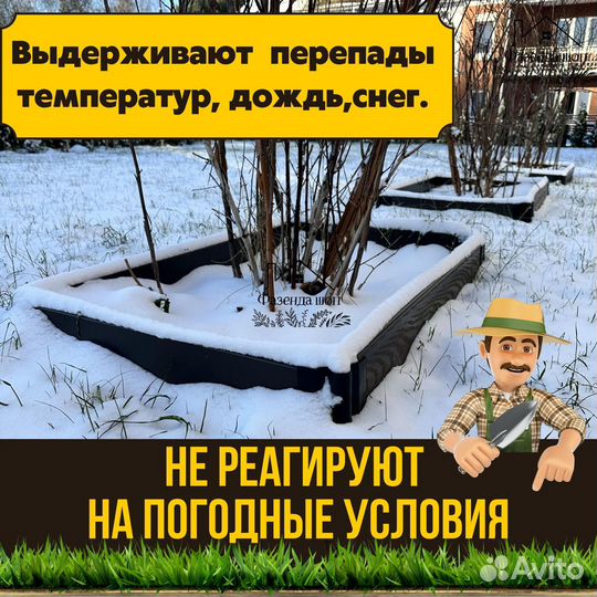 Грядки дпк