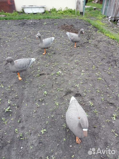 Чучела гусей для охоты