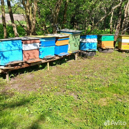 Улей для пчел бу