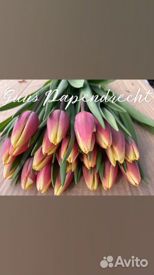 Тюльпаны к 8 марта оптом