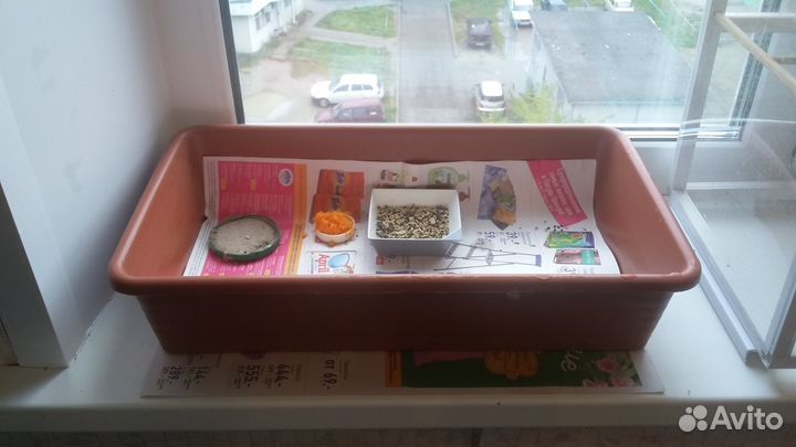 Клетки для птиц