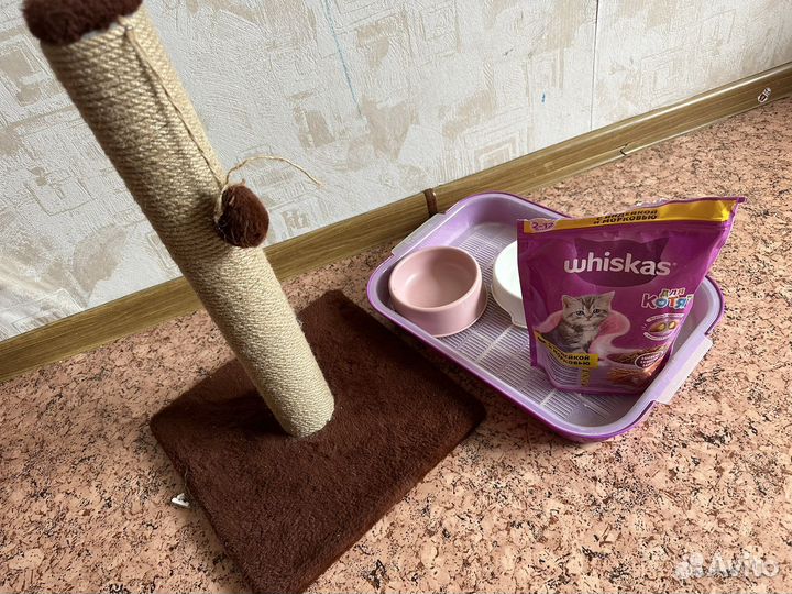 Когтеточка