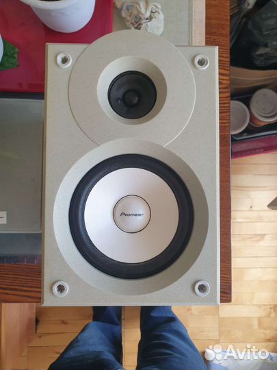 Pioneer S-L5V