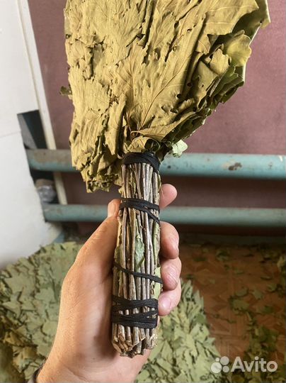 Веники банные. Березовые, дубовые, эвкалиптовые