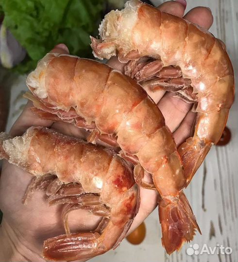 Лангустины без головы C1(Аргентинская креветка )