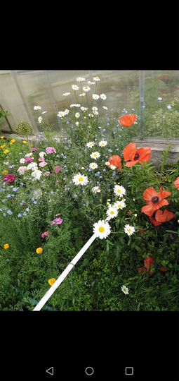 Дача 70 м² на участке 10 сот.