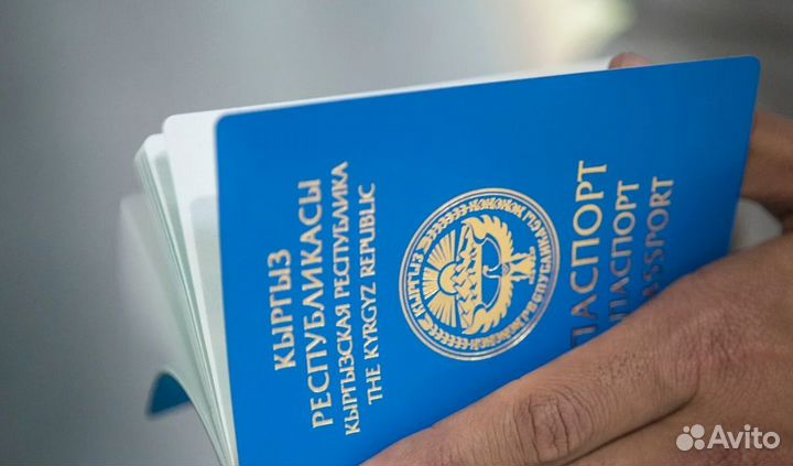 Помощь в получении гражданства Киргизии за 3 мес