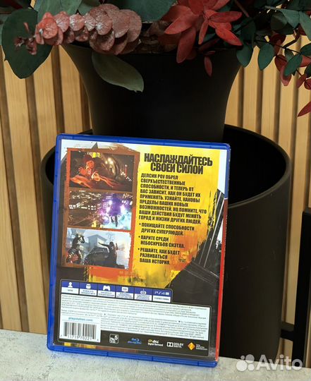 Игры на ps4 ps5 infamous second son второй сын