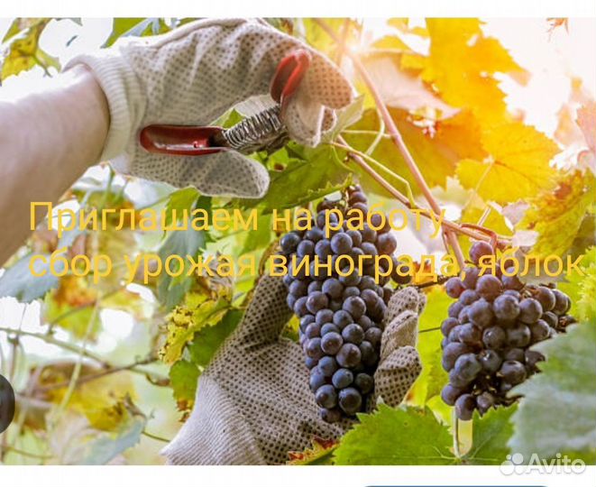 Разнорабочий вахта