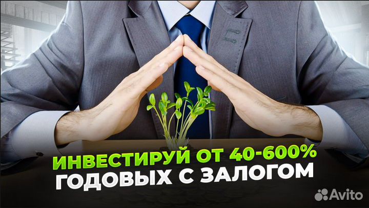 Инвестиции 40-600% годовых с залогом в бизнес