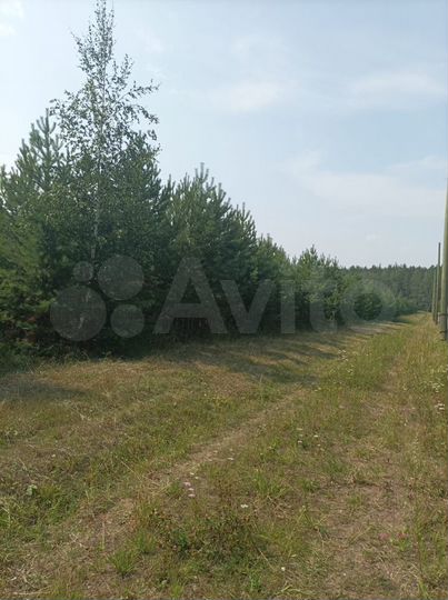 Участок 15 сот. (СНТ, ДНП)