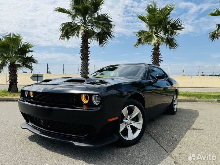 Аренда авто прокат машины Dodge Challenger