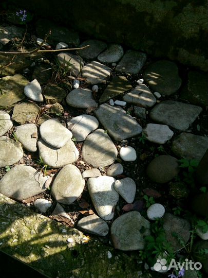 Камень-Галыш Черноморский