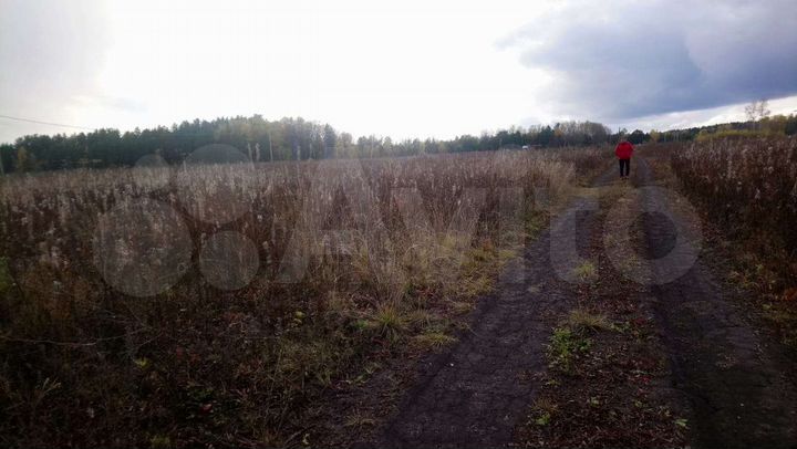 Участок 10 сот. (СНТ, ДНП)