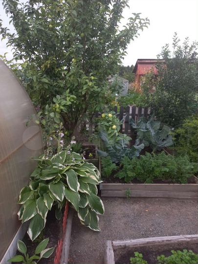 Дача 42 м² на участке 6 сот.