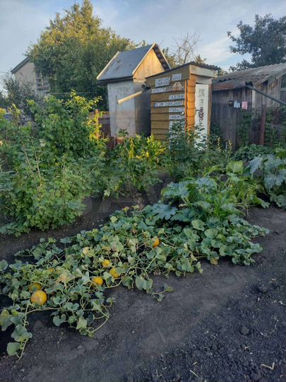 Дача 80 м² на участке 5,8 сот.