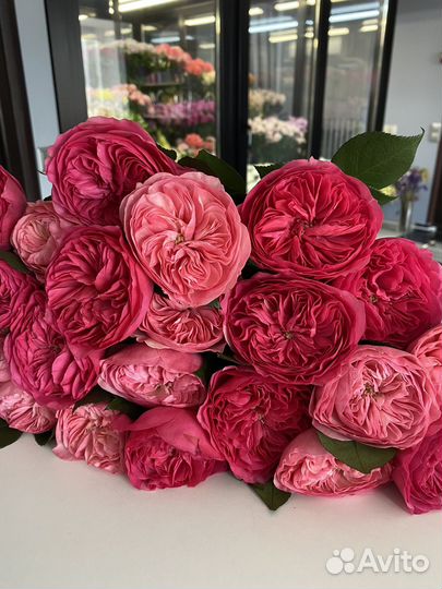 Розы. Доставка