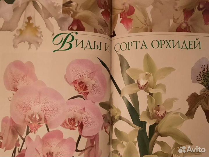 Книга А.Зайцева