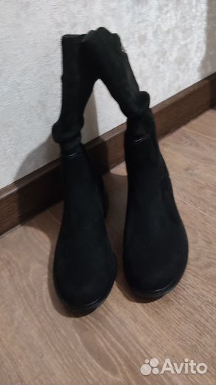 Сапоги осень весна женские новые