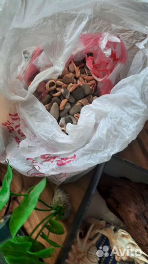 Компрессор для аквариума