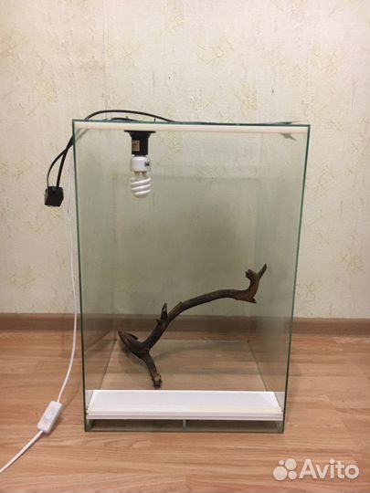 Террариум для рептилий