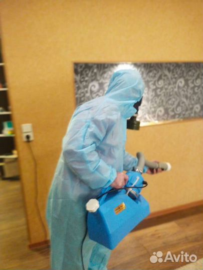 Уничтожение клопов, тараканов и других насекомых