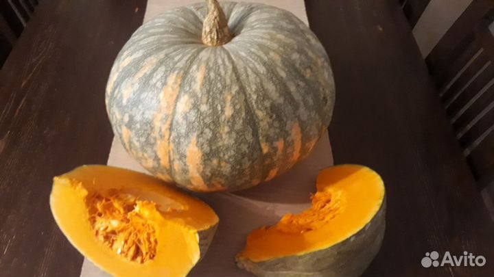 Тыква Лечебная