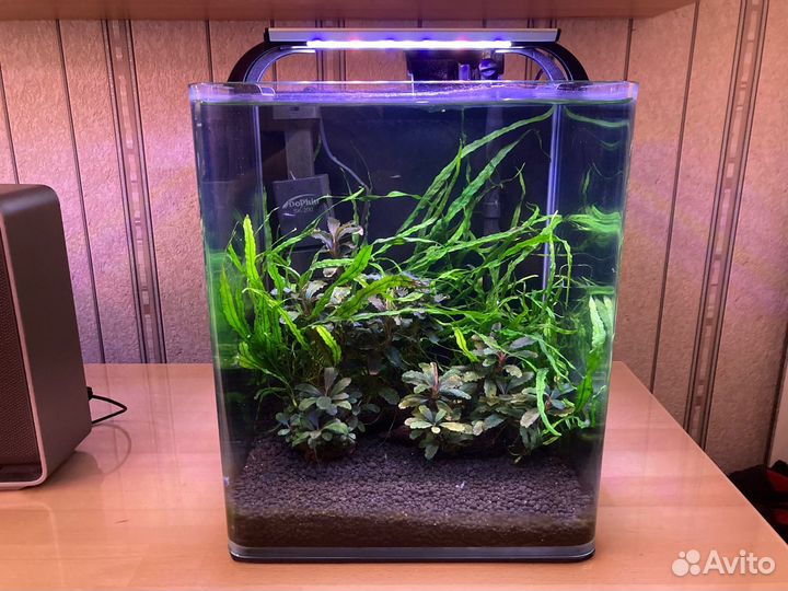 Аквариума Denerle