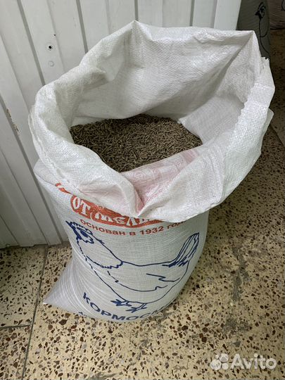 Корм для кур несушек