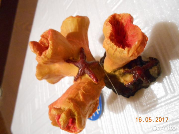 Коралл декоративный 