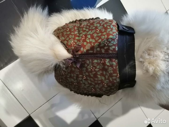 Одежда для животных