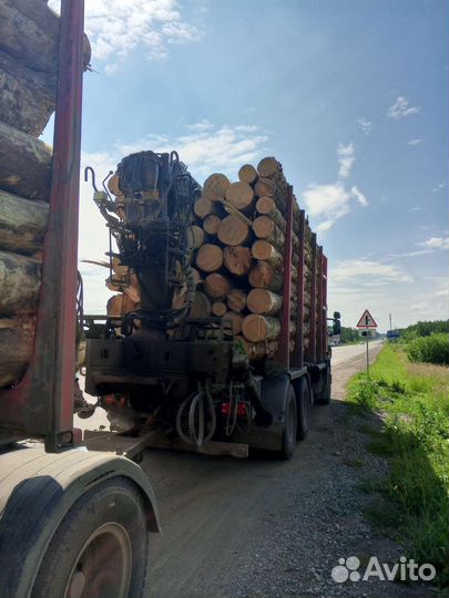 Лес кругляк пиловочник