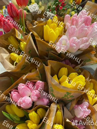 Тюльпаны розница