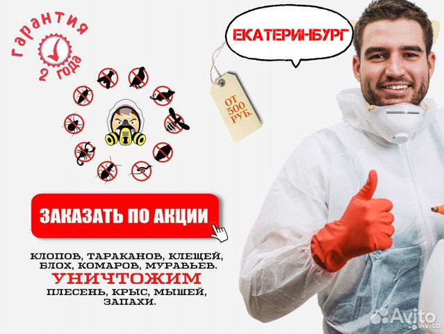 Уничтожение тараканов клопов блох крыс дезинфекция