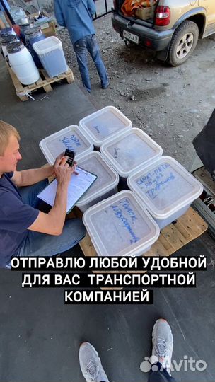 Мед оптом/Доставка по РФ