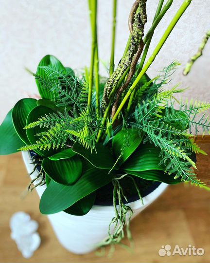 Королевская орхидея в напольном кашпо