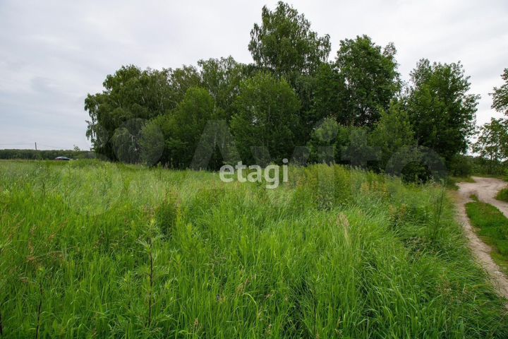 Участок 20 сот. (ИЖС)