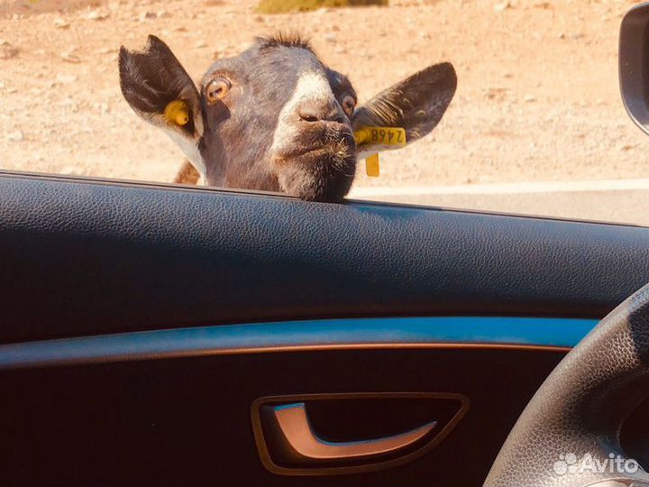 Экскурсия — Ираклион — Душевный и духовный Крит