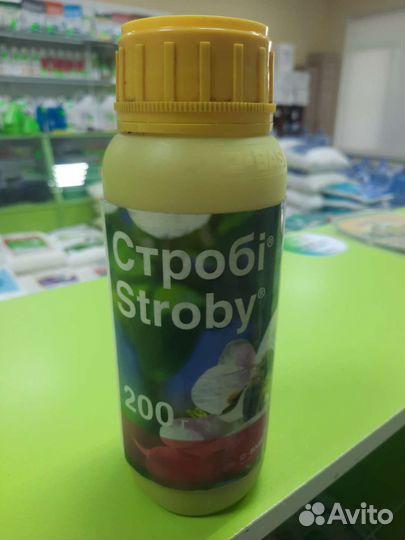 Строби фунгицид