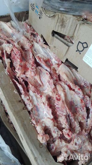 Кости для собак