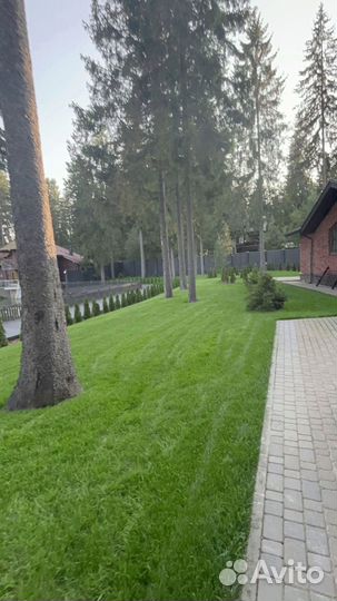 Рулонный газон от производителя