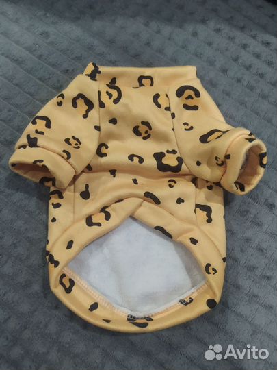 Одежда для собак