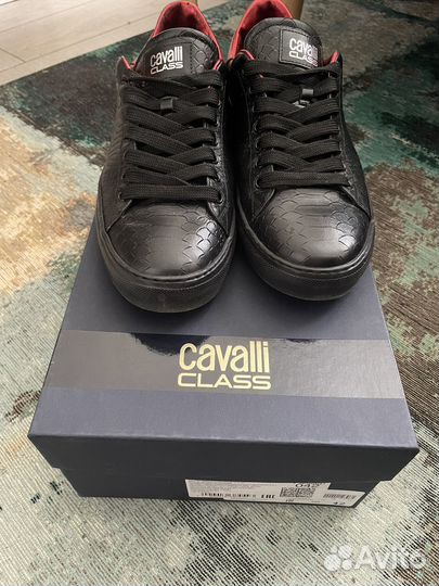 Кроссовки roberto cavalli