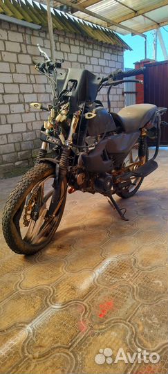 Alpha Rs 12 Champ Millenium