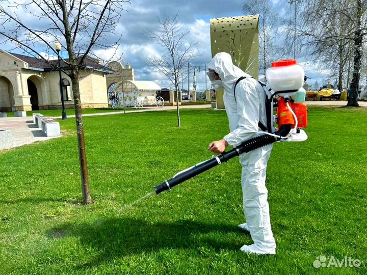 Уничтожение тараканов клопов клещей