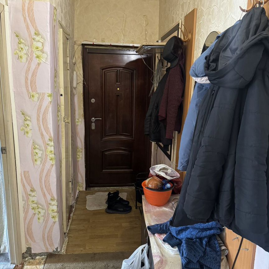 Квартира 2-комн. 48.2 м² в Снежногорск — фото 7 из 12