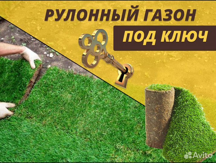 Газон рулонный под ключ