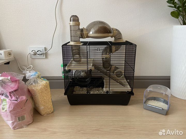 Продаем 2 хомяков с клеткой